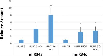 HCV Interplay With Mir34a: Implications in Hepatocellular Carcinoma